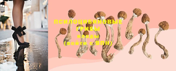 не бодяженный Гусь-Хрустальный