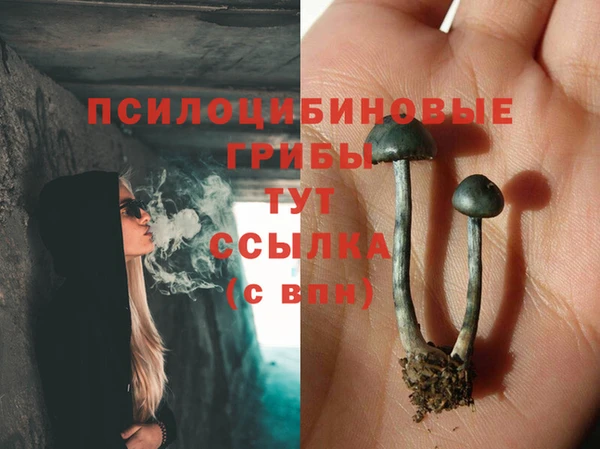 прущая мука Гусиноозёрск