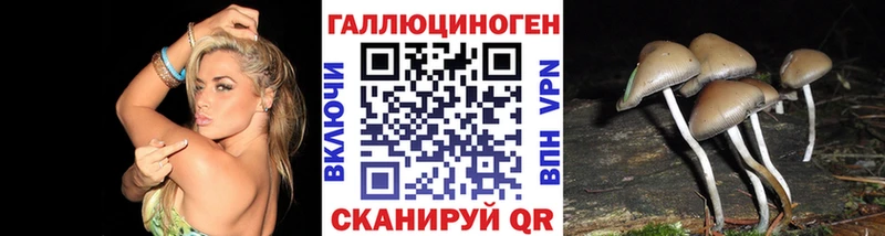 Псилоцибиновые грибы Magic Shrooms  нарко площадка какой сайт  Дубна 
