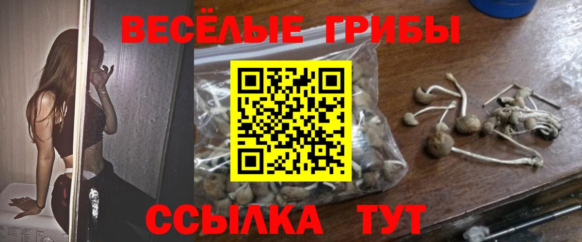 Псилоцибиновые грибы MAGIC MUSHROOMS Дубна